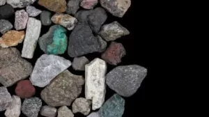 مشروع مانوكاس تارانيكي VTM في نيوزيلندا ينتقل إلى مرحلة الموافقة السريعة على المسار السريع