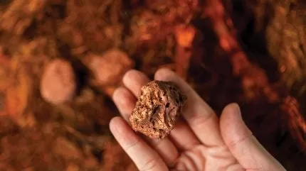 هارموني جولد ماينينغ تشتري ماك كوبر مقابل 103 مليار دولار