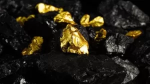 يبدأ Auric في التعدين في حفرة Munda Gold Mine في أستراليا