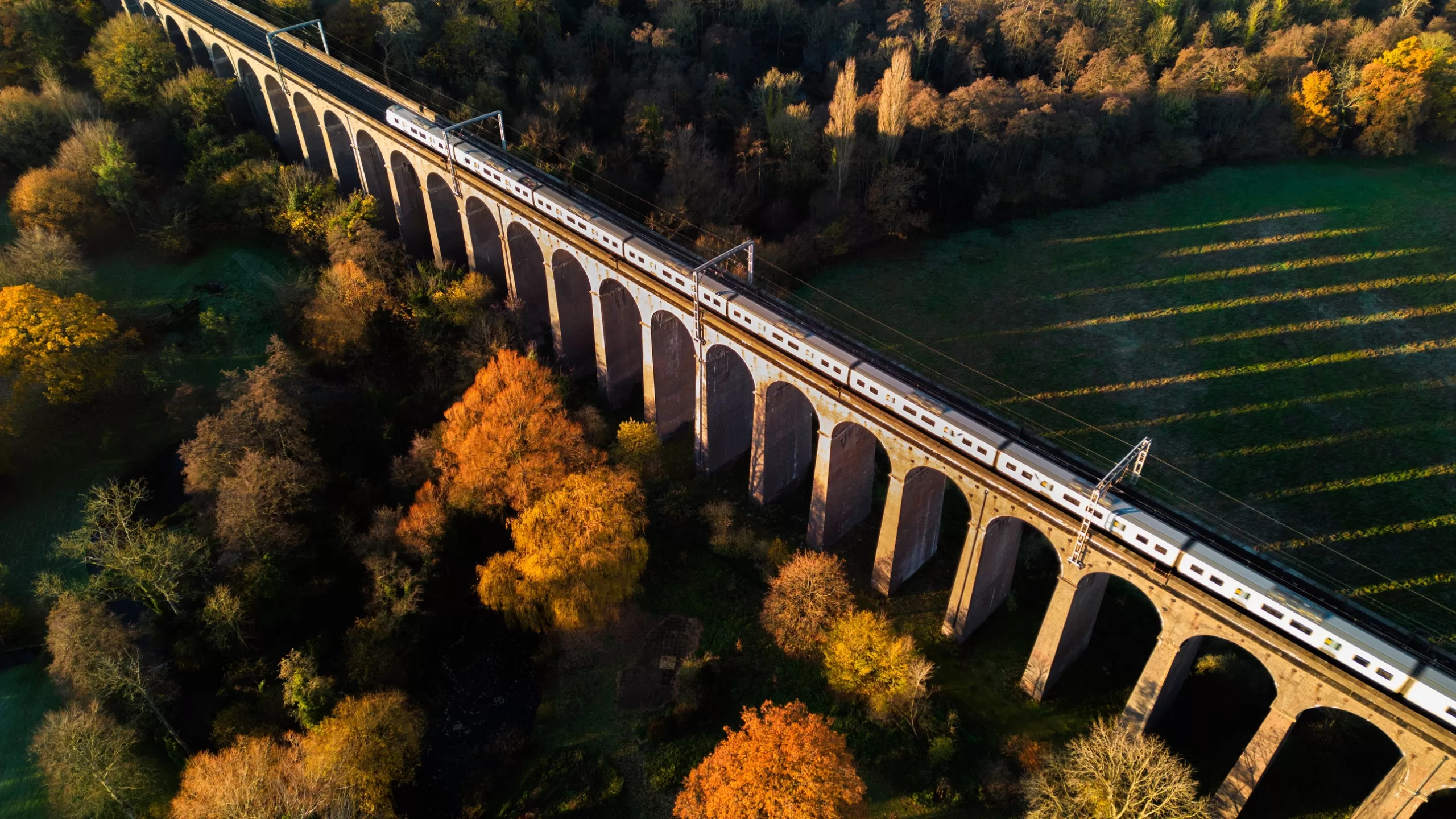 أفضل رحلات القطارات في المملكة المتحدة لمشاهدة أوراق الشجر، إطلالات scaled