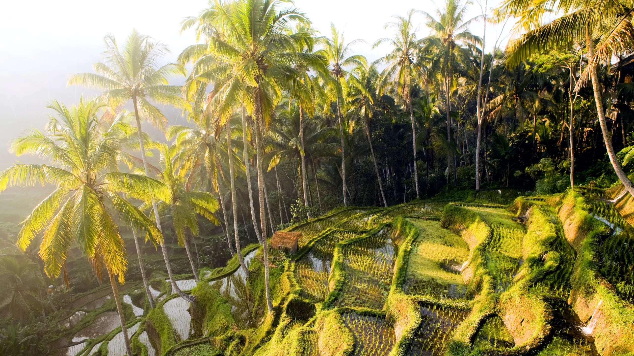 أفضل وجهات السفر الفردي، من كوبنهاغن إلى غالاباغوس scaled