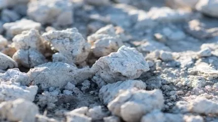 أندروميدا تأمن تمويلًا بقيمة 487 مليون دولار لمشروع غريت وايت