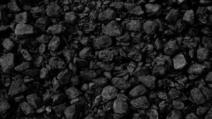 تقرير موارد كورونادو العالمية عن نقل الأصول