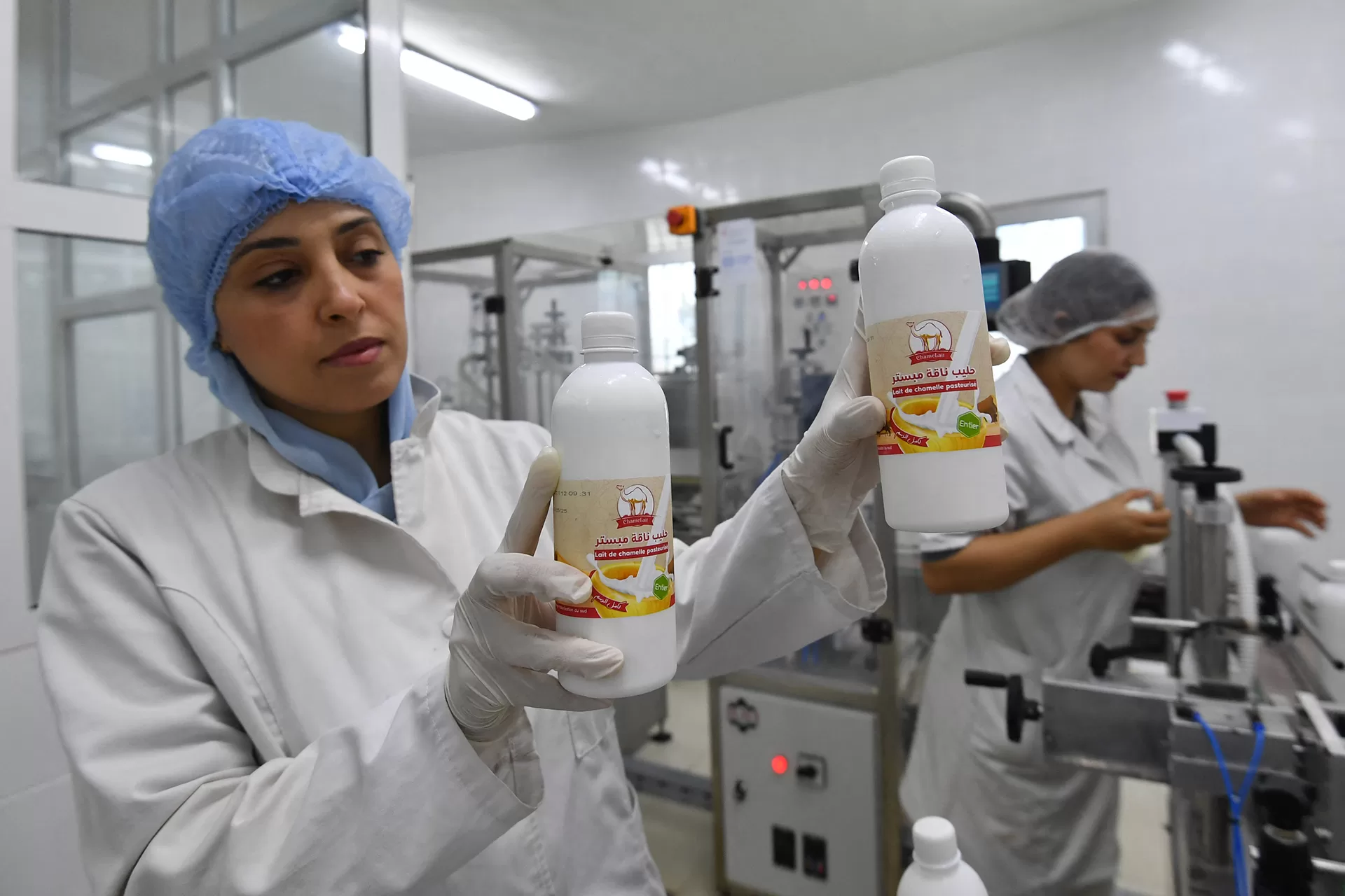 تونسية تحوّل حليب الناقة إلى "ذهب أبيض" في مناطق مهمشة