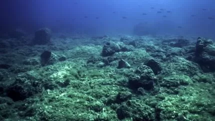 لا يزال تعدين أعماق البحار ساحة معركة عدائية