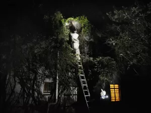 6 من 10: السيطرة الأفريقية على كبار منتجي الألماس