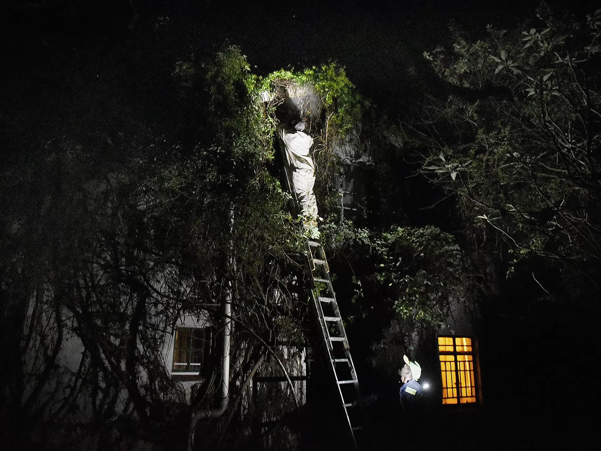 6 من 10: السيطرة الأفريقية على كبار منتجي الألماس