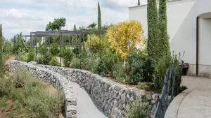 أفضل الرحلات اليومية من روما، وفقًا للسكان المحليين الذين جربوها