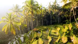 أفضل وجهات السفر الفردي، من كوبنهاغن إلى غالاباغوس