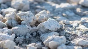 أندروميدا تأمن تمويلًا بقيمة 48.7 مليون دولار لمشروع “غريت وايت” في جنوب أستراليا