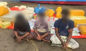 اخبار المناطق – الحملة الاستقرارية المشتركة تكتشف 500 كيلوجرام من الحشيش قرب ساحل لحج.