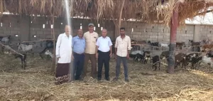 اخبار المناطق – الدعيس يزور مشروع الحجر البيطري في المخا ويؤكد على أهمية الالتزام بالمعايير الصحية