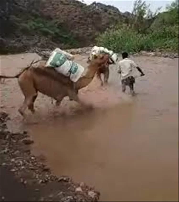 جهود مكثفة لإعادة افتتاح سوق السبت التاريخي في الأزارق لتخفيف من معاناة الأهالي