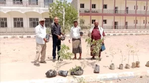 اخبار وردت الآن – لحج: زراعة مجموعة من الورود وأشجار الدمس في جامعة ردفان