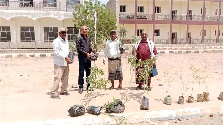 لحج... زراعة عدد من الورود وأشجار الدمس في كلية ردفان الجامعية