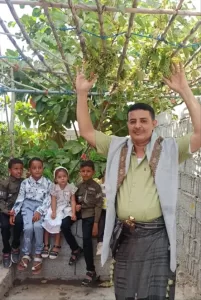 اخبار وردت الآن – مزارع من المسيمير بلحج يحقق نجاحاً في زراعة العنب بطرق طبيعية في حديقته