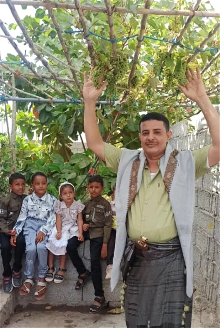 مزارع من المسيمير بلحج ينجح في زراعة العنب باستخدام طرق طبيعية داخل حديقة منزله