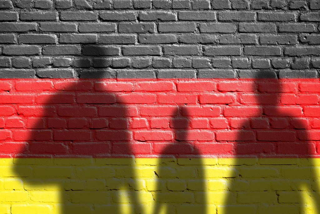 يتقدمهم السوريون.. ألمانيا تمنح جنسيتها لعدد قياسي في 2024