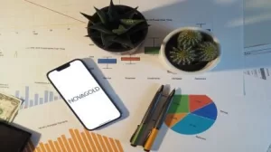 بارك مهد التعدين تستحوذ على 50 ٪ من مشروع دونلين الذهب مقابل مليار دولار