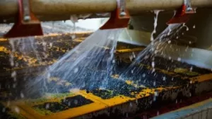 تشرع مالي في بناء مصفاة ذهبية مدعومة من روسيا لتعزيز السيطرة على الموارد