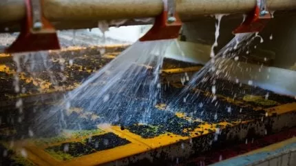 تشرع مالي في بناء مصفاة ذهبية مدعومة من روسيا لتعزيز