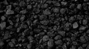 تقرير موارد كورونادو العالمية عن نقل الأصول