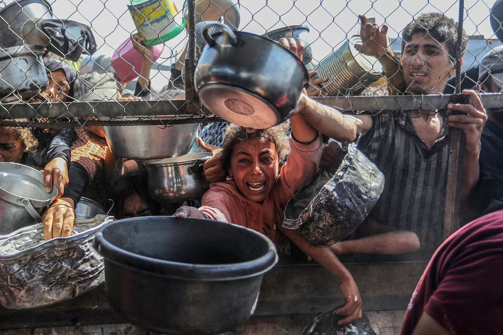 تلغراف: في أعماق وكالة المساعدات التي تُثير الخوف والفوضى في غزة