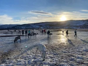 رحلة عائلية عبر الدائرة القطبية الشمالية في النرويج