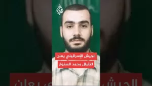 شاهد الجيش الإسرائيلي: نؤكد القضاء على محمد السنوار