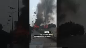 شاهد تصاعد النيران بعد استهداف سيارة جنوب لبنان