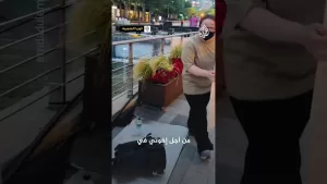 شاهد شاهد | فتاة كورية تتظاهر وحيدة من أجل فلسطين