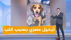 شاهد شبكات | ترحيل مصري بسبب كلب أمريكي