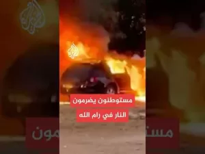 شاهد مستوطنون يهاجمون بلدة كفر مالك في رام الله ويضرمون النار فيها