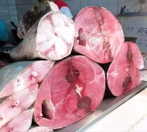 عدن: زيادة سعر كيلو سمك الثمد إلى 12 ألف ريال في ظل نقص الرقابة