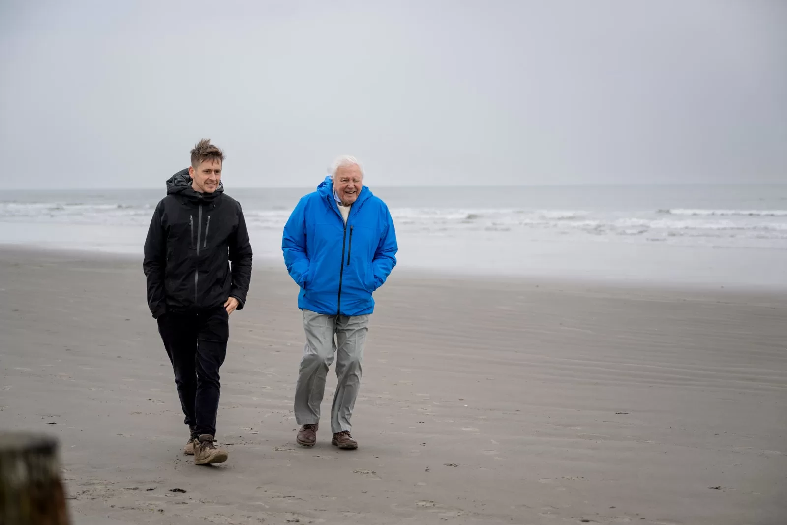 الصورة قد تحتوي على ديفيد أتينبورو وآنا بيتشر وشخص يسير وجزء من الجسم واليد وملابس وأحذية