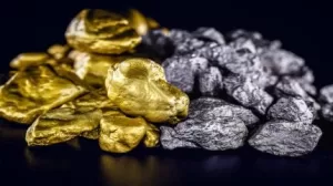 فيزلا تكمل عملية الاستحواذ على مشروع بانكو الفضي-الذهبي في المكسيك