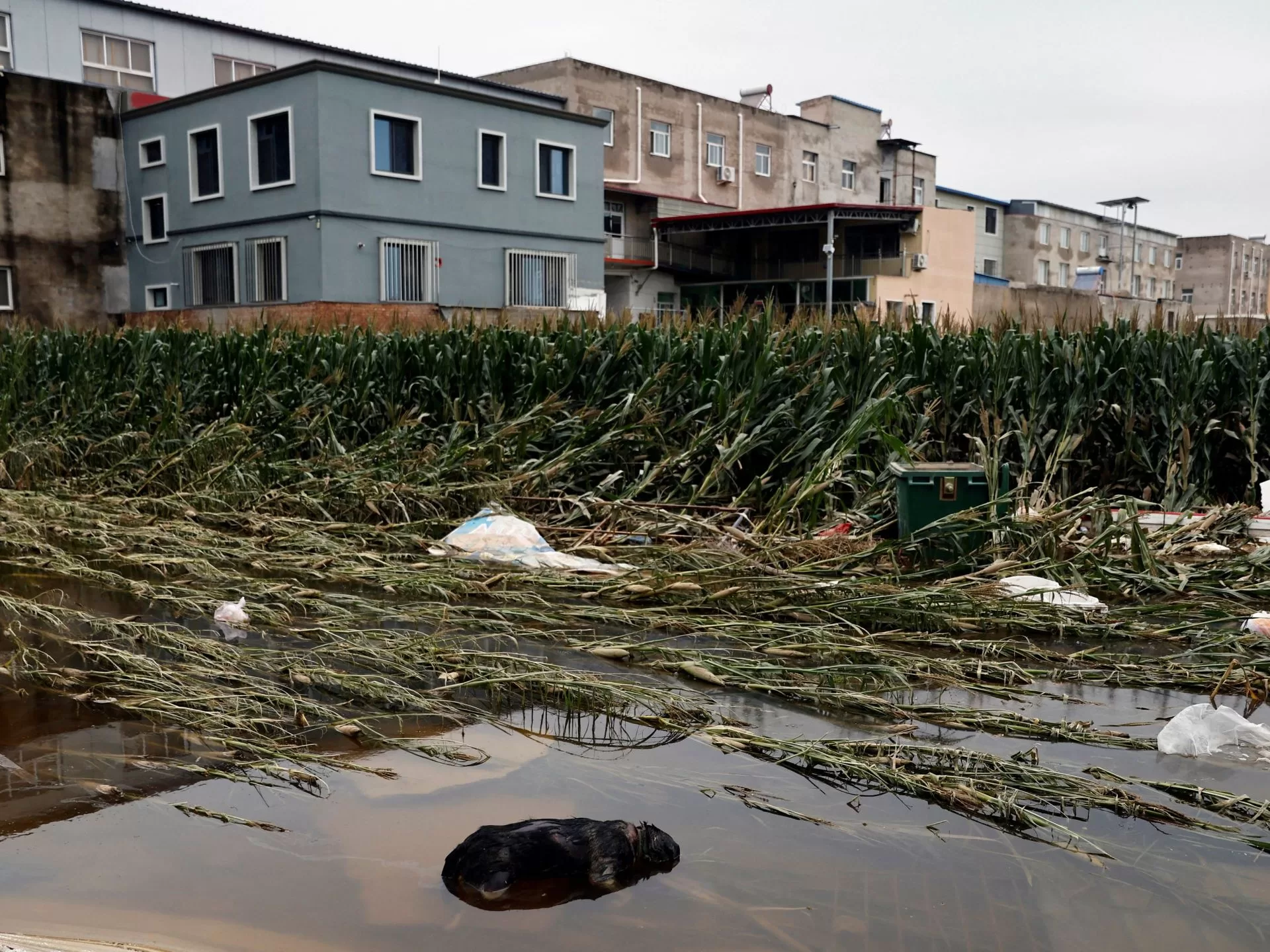 فيضانات تجتاح جنوب غرب الصين وتسبب في تدمير العديد من المنازل والجسور