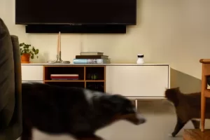 كاميرا “بيتليبروا” الذكية الجديدة تستخدم الذكاء الاصطناعي لوصف حركات حيوانك الأليف، وهي رائعة جداً