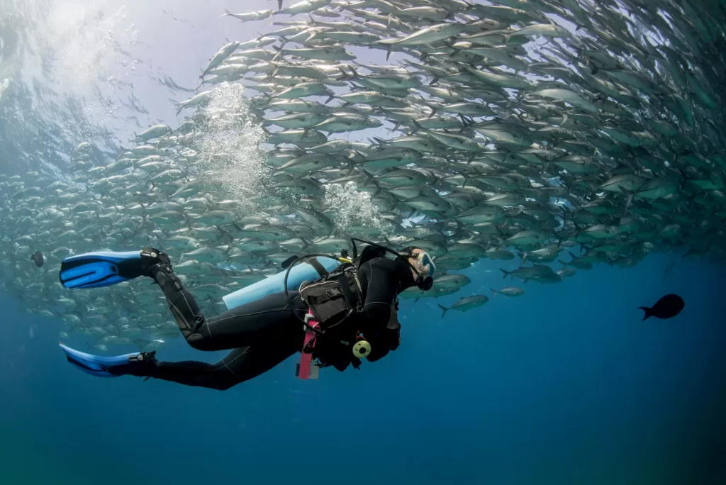 Image may contain Nature Outdoors Water Adventure Leisure Activities Person Scuba Diving Sport Clothing and Glove