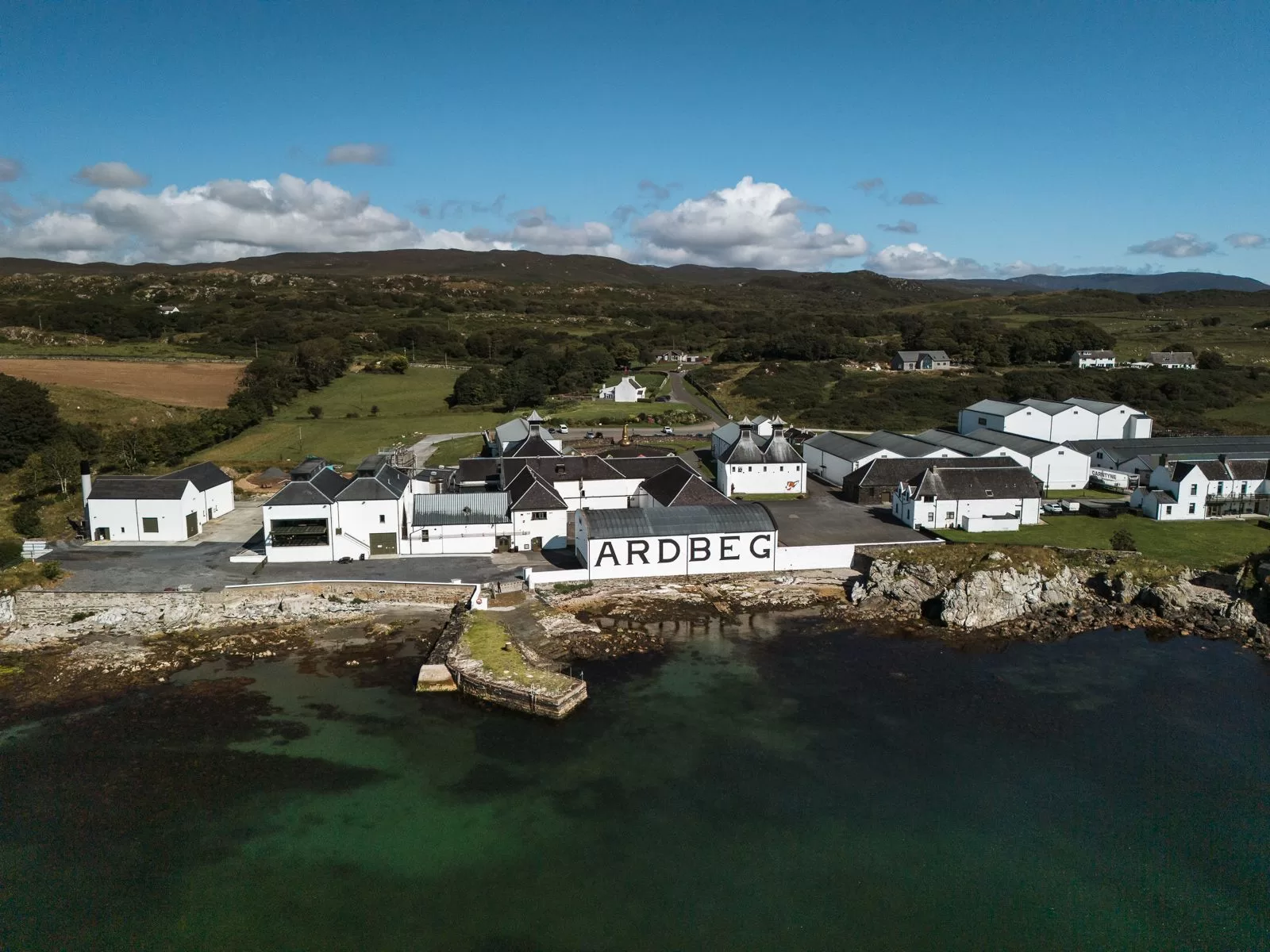 صورة قد تحتوي على حيوان كلب ثديي نيوفاوندلاند حيوان أليف في الهواء الطلق طبيعة ماء ساحل حي وبحر