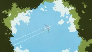 ماذا نفقد عندما نفقد طائرة