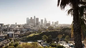 ماذا يجب أن تعرفه عن الاحتجاجات في لوس أنجلوس: المناطق المتأثرة، ساعات حظر التجول، وحقوقك