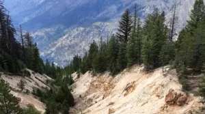 مطالبة بحصص القرار في سوق المعادن النادرة في الولايات المتحدة