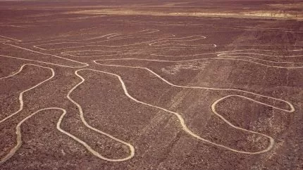 يمكن أن يعرض انخفاض المنطقة المحمية في خطوط نازكا في