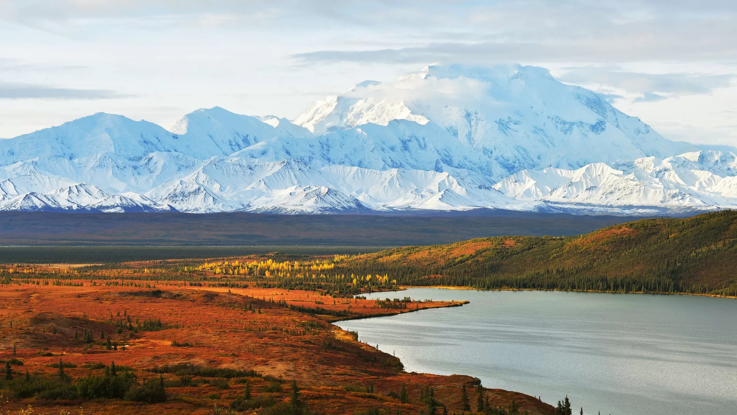 أفضل الأكواخ والنُزل والفنادق القريبة من منتزه دينالي الوطني scaled