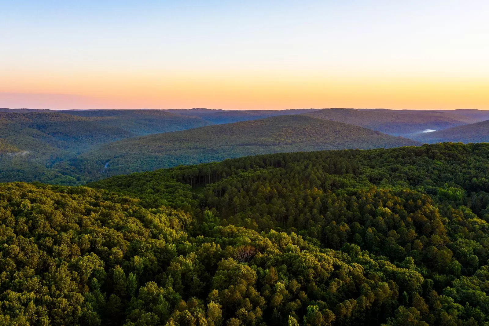 تشير الصورة إلى الطبيعة، الأراضي، الأماكن الخارجية، النباتات، الأشجار، الغطاء النباتي، الغابات، المنظر الجوي، والغابات المطيرة