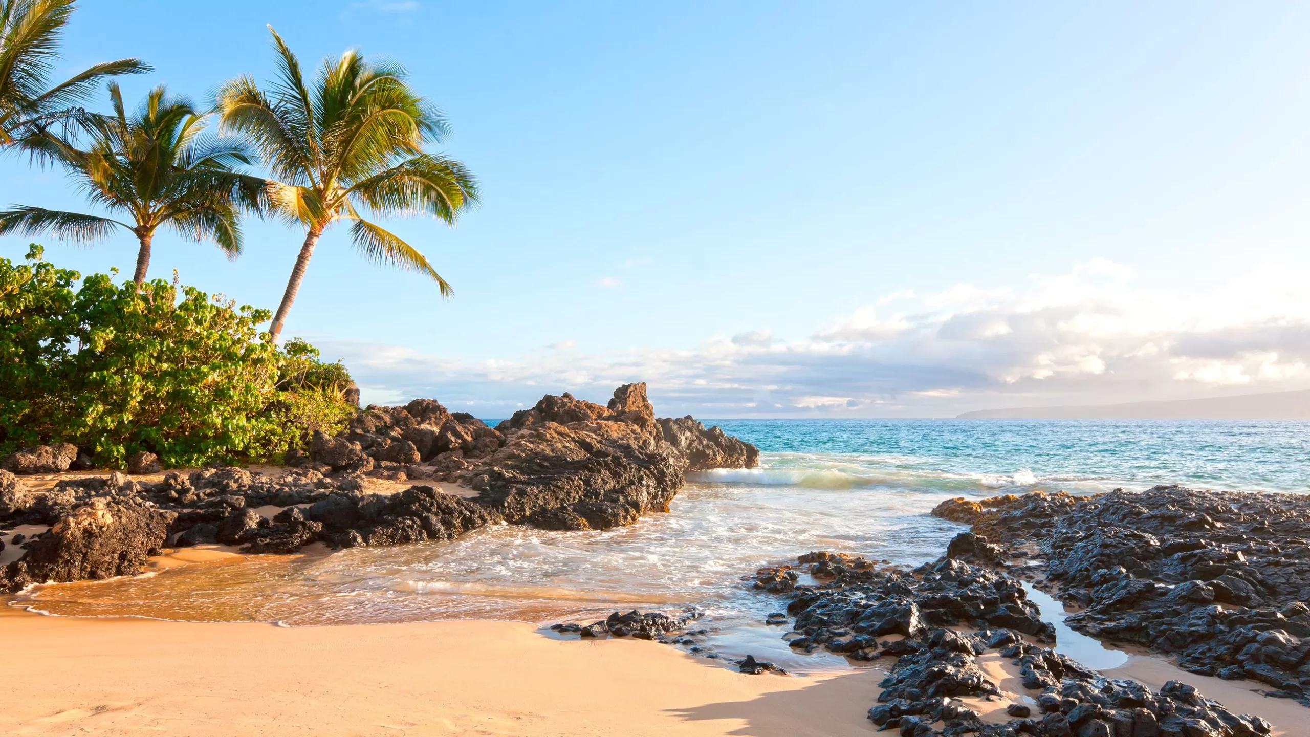 أفضل 13 شاطئًا في ماوي، من الخلجان الهادئة إلى معاقل scaled