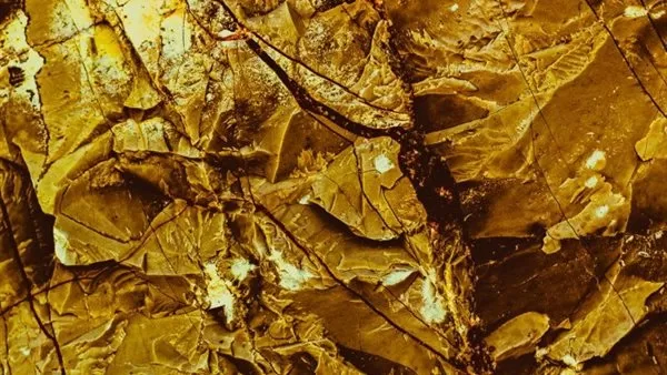 إلحق اشتري قبل الغلا.. سعر الذهب اليوم الاثنين  28 7 2025