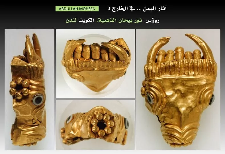 رؤوس ثيران ذهبية من بيحان فصل جديد في تدهور الآثار