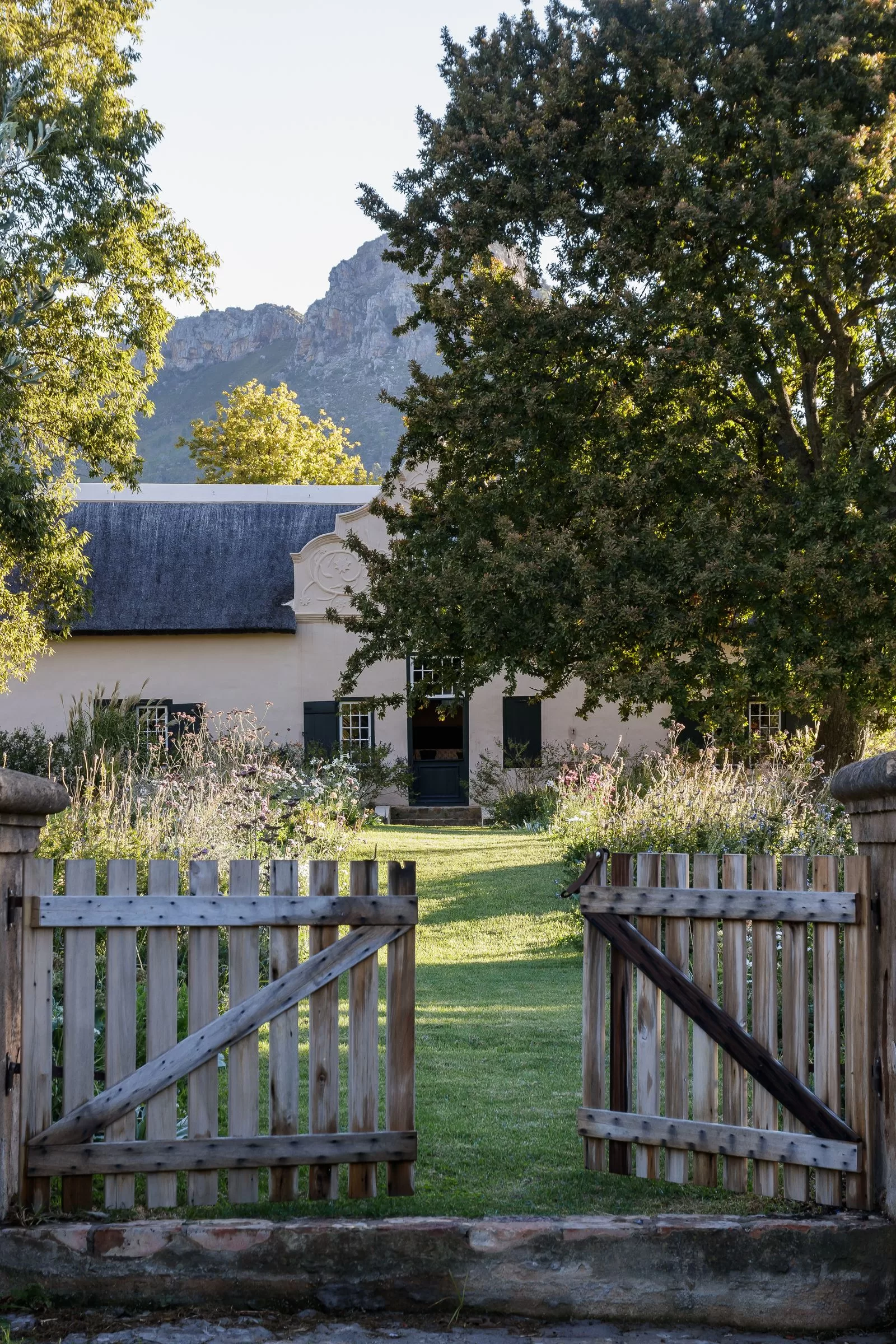 الصورة قد تحتوي على الطبيعة، في الهواء الطلق، فناء، حديقة، نبات، سياج خشبي، وشجرة